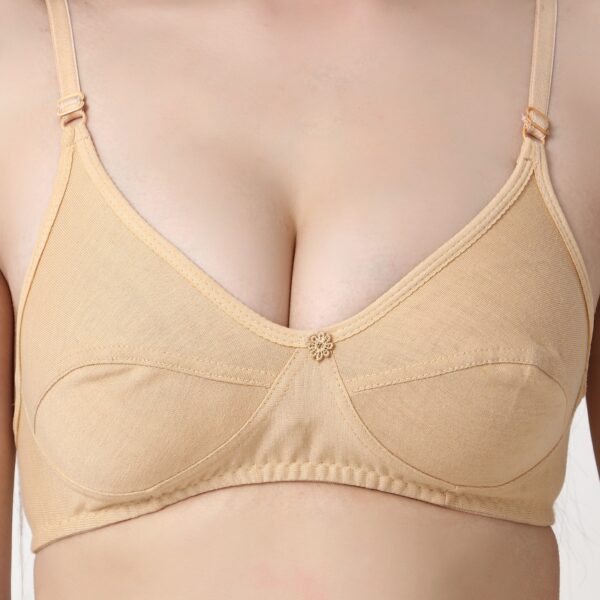 Women Cotton Full Coverage Non Padded Daily Use Bra & Pantie Lingerie Set for Women and Girls, Women Sexy Lingerie Set for Honymoon Sex Panty Set, Underwired Bridal Lace Bra and Panty Set, Swimwear Bikini Bra Panty Lingerie Set, (Beige)-DSBP001-P1_BEIGE - Image 5