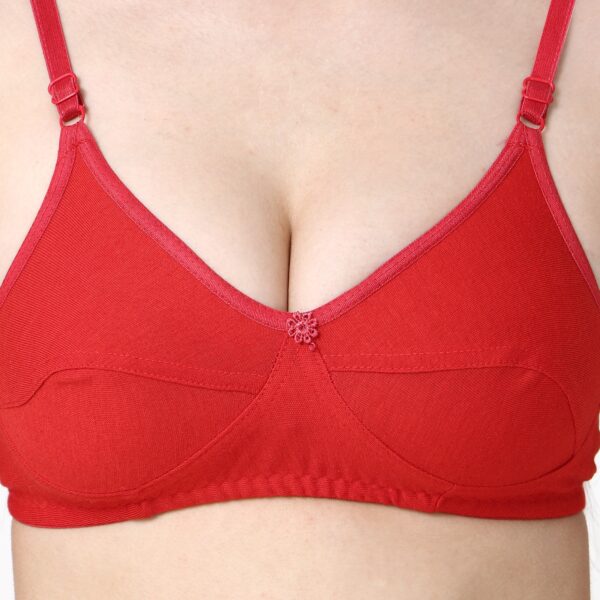PACK OF 3 Women Cotton Full Coverage Non Padded Daily Use Bra & Pantie Lingerie Set for Women and Girls, Women Sexy Lingerie Set for Honymoon Sex Panty Set, Underwired Bridal Lace Bra and Panty Set, Swimwear Bikini Bra Panty Lingerie Set, (Pink Red Maroon)-DSBP001-P3_PINK RED MAROON - Image 5